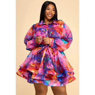 Dream In Color Plus Sized Dress